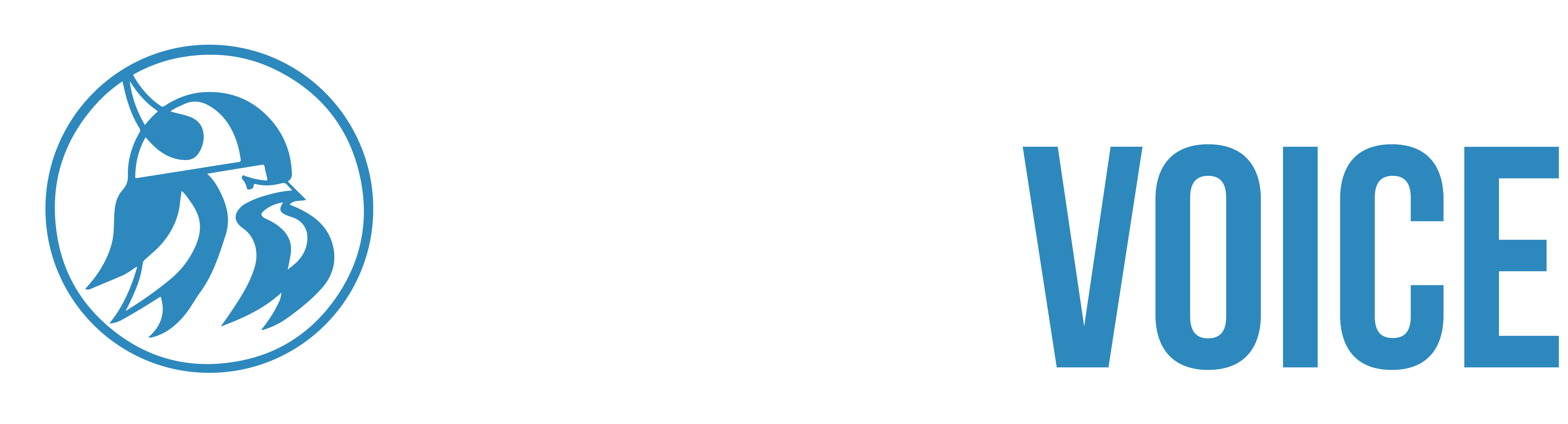 The Viking Voice Scc Sampson Community College